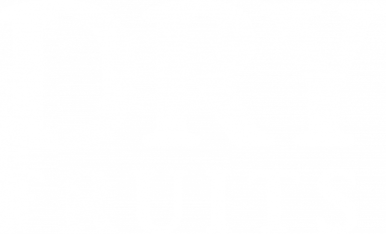 dry fruits logo